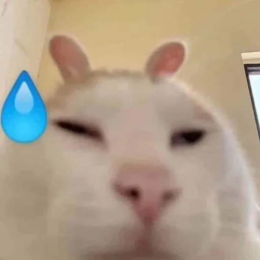 a1rfry9r